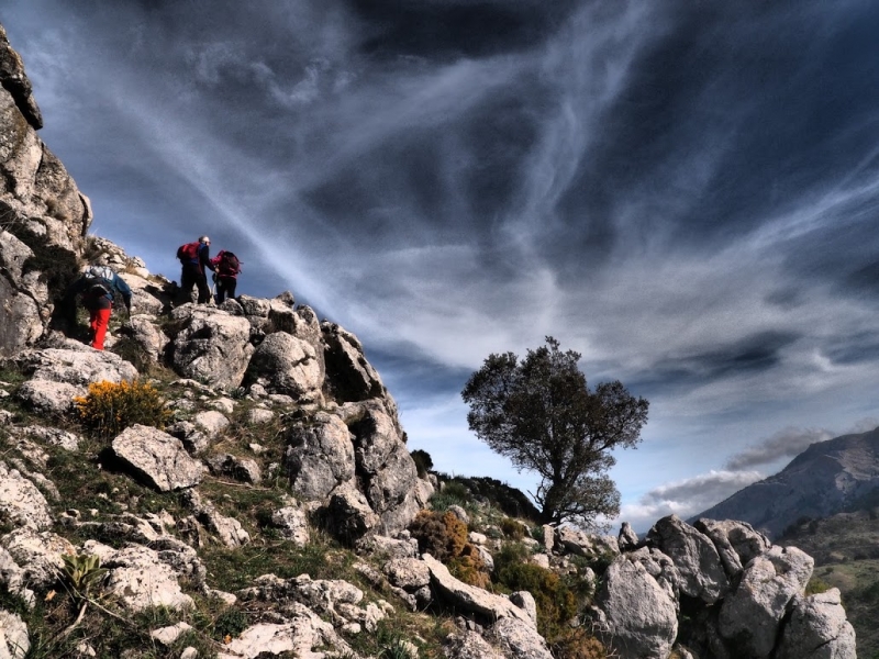 ladera_norte_cerro_yedra