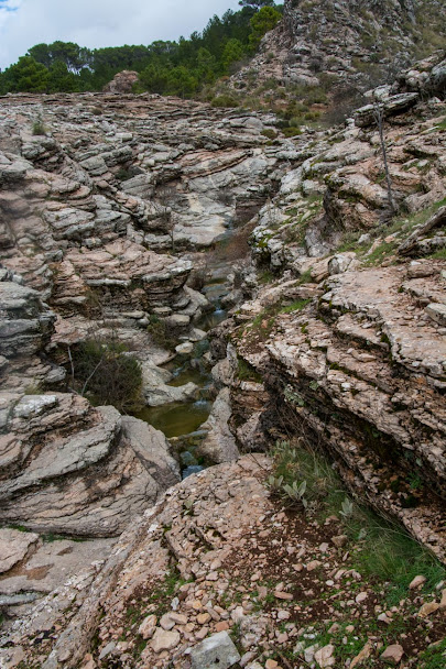 cerro sardina 4